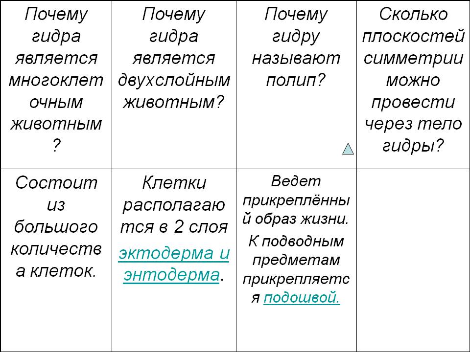 Kraken маркетплейс kr2web in