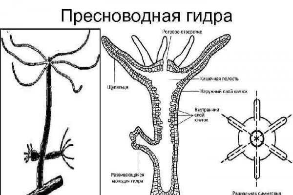 Ссылка на кракен в тор браузере