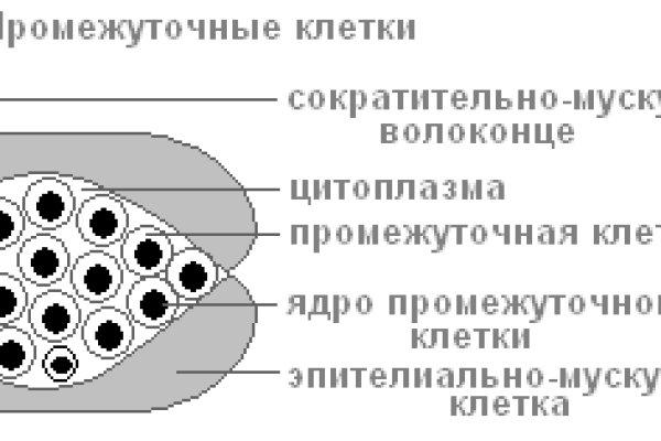 Как выводить деньги с кракена